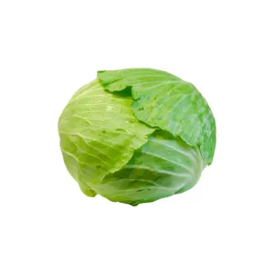 Cabbage Taiwan Cabbage Seeds | West Coast Seeds