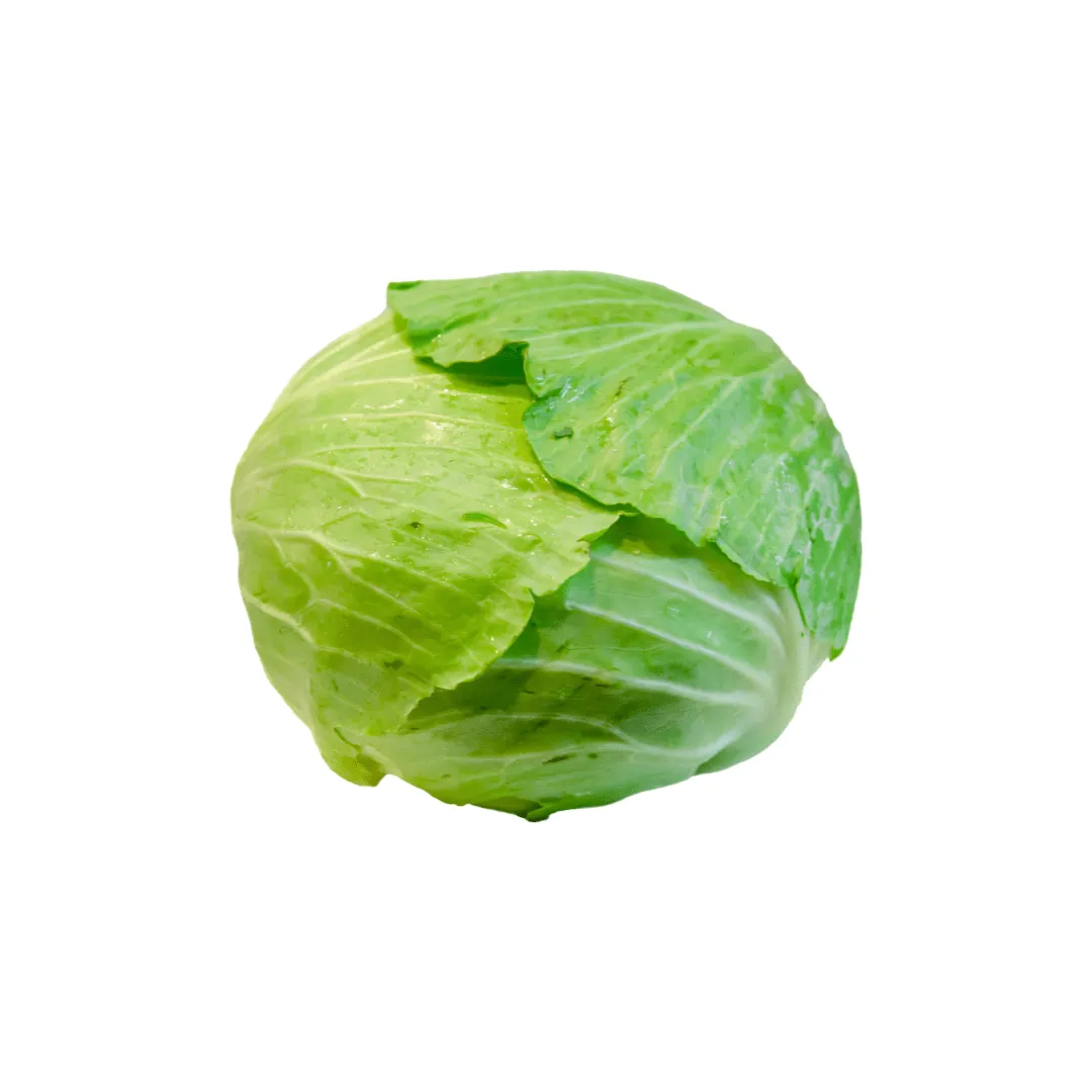 Cabbage Taiwan Cabbage Seeds | West Coast Seeds