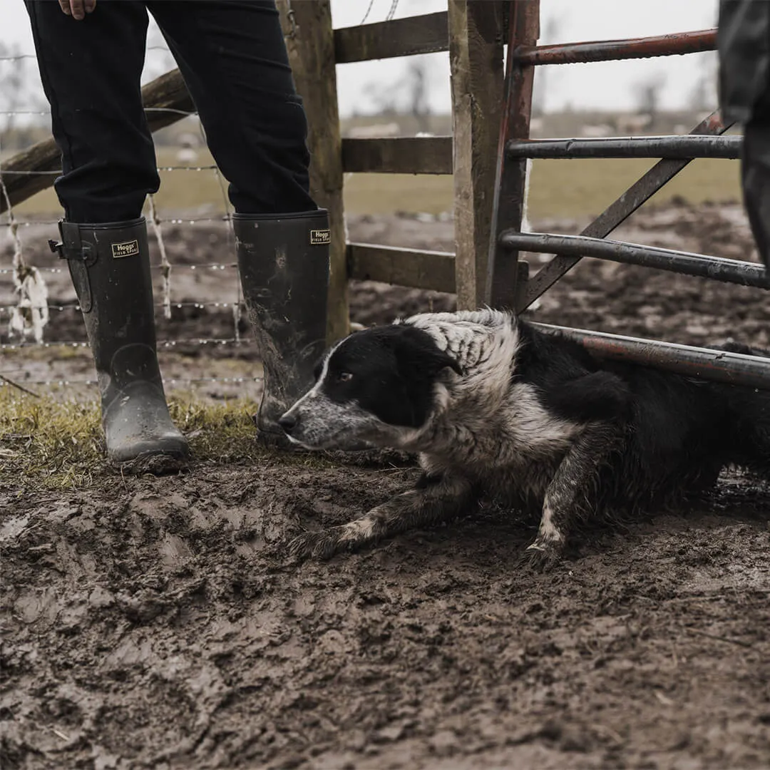 Field Sport Neoprene Lined Wellingtons by Hoggs of Fife