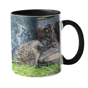 Hedgehog And Old Boots Mug