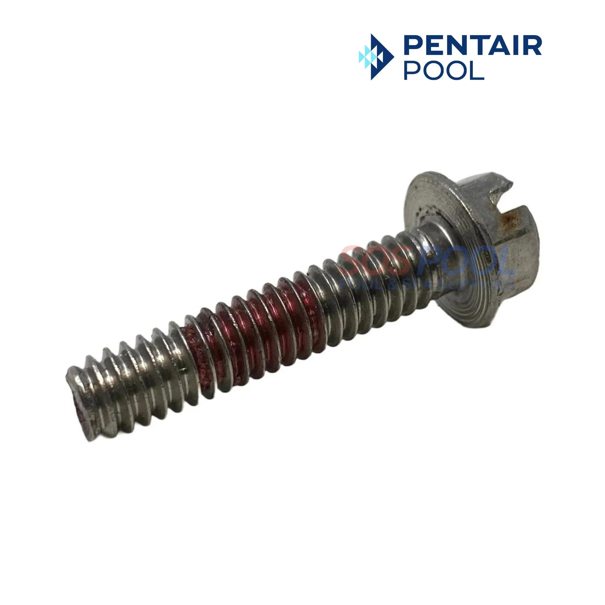 Pentair Impeller Locking Screw For SuperMax and SuperFlo Pumps | 355389