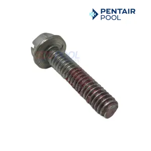 Pentair Impeller Locking Screw For SuperMax and SuperFlo Pumps | 355389