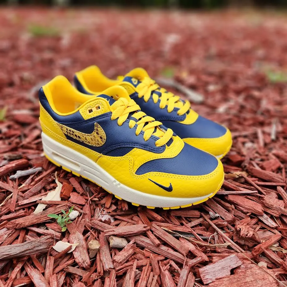 W Nike Air Max 1 Premium